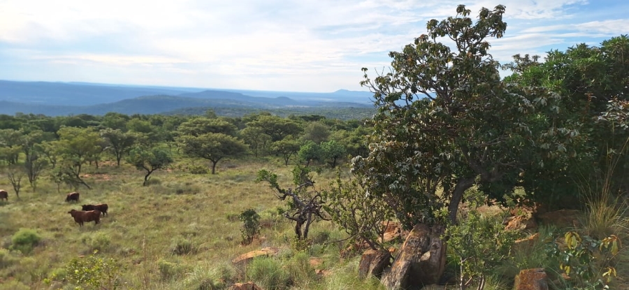 2 Bedroom Property for Sale in Koster North West